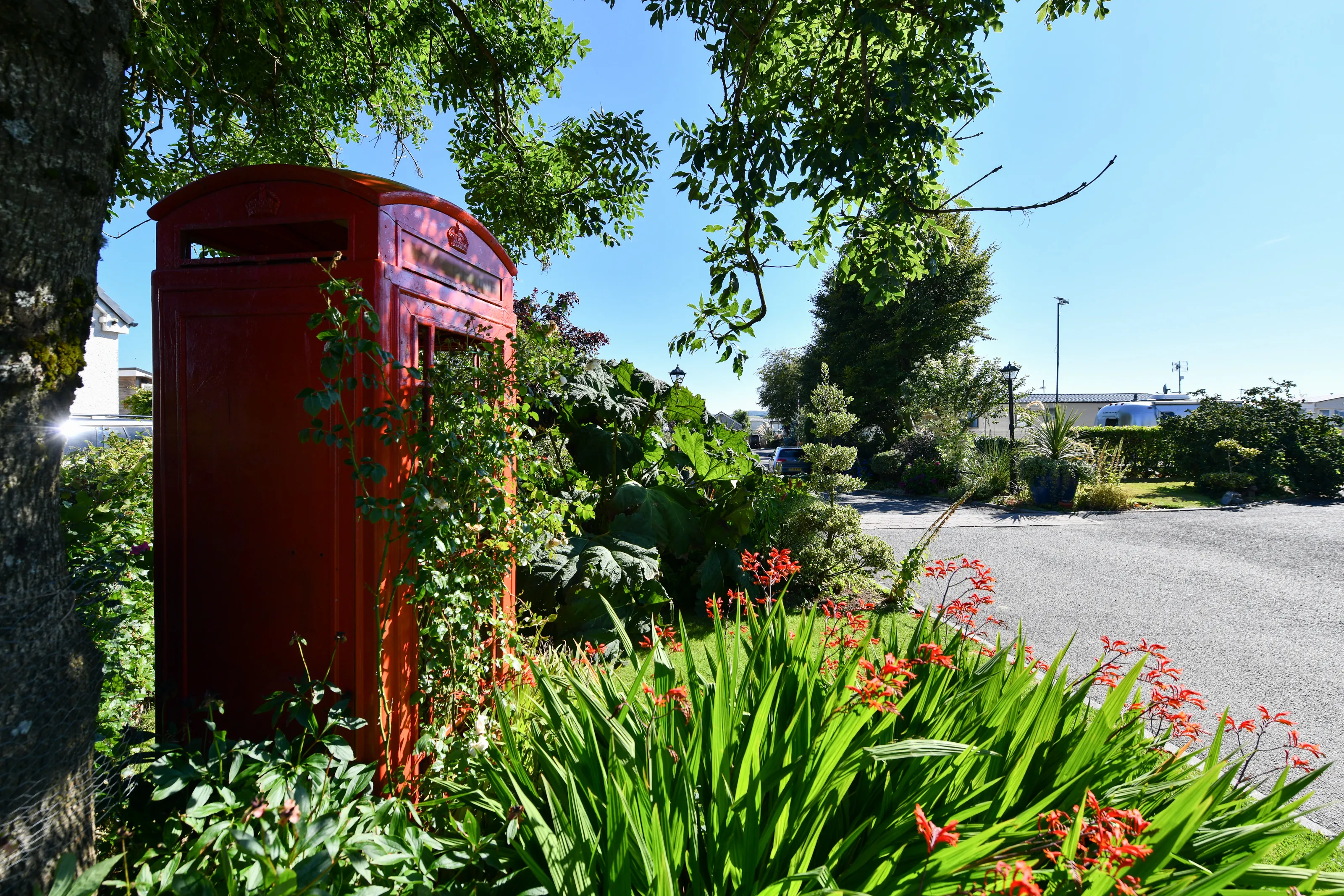 Flowers surrounding traditional telephone box under clear blue sky